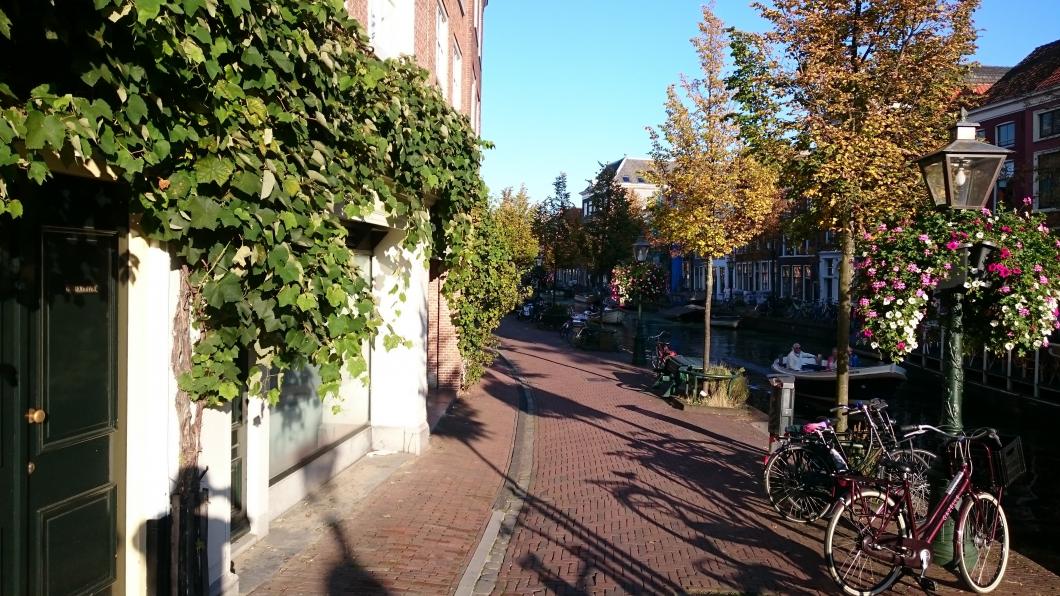 DSC_0783.jpg