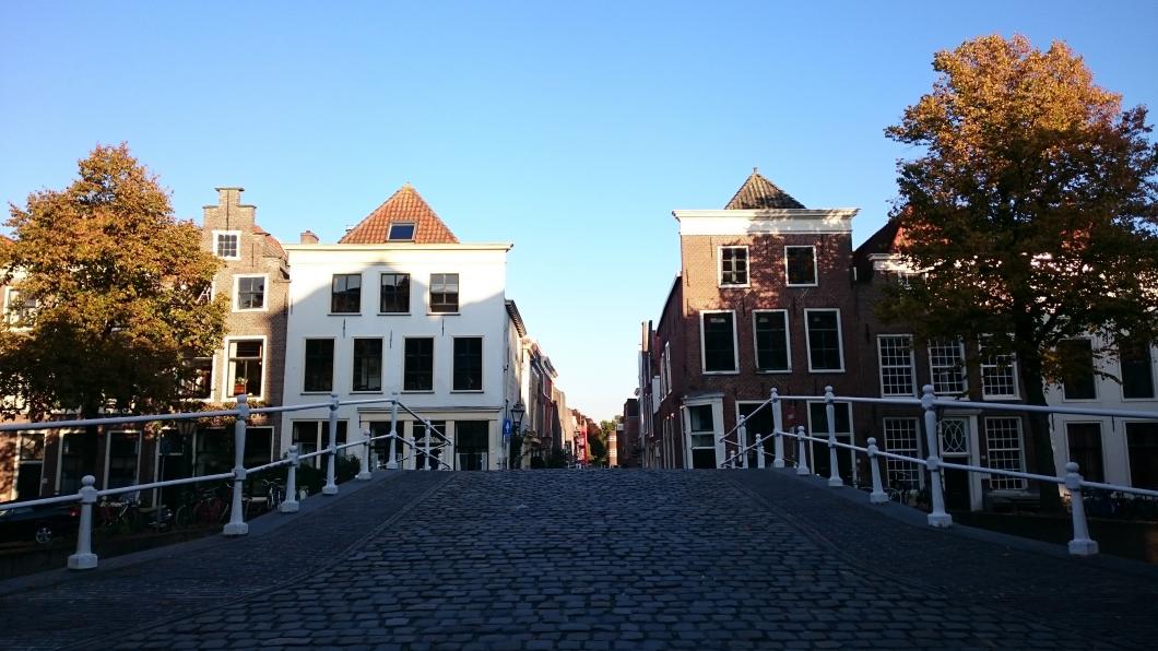 DSC_0819.jpg
