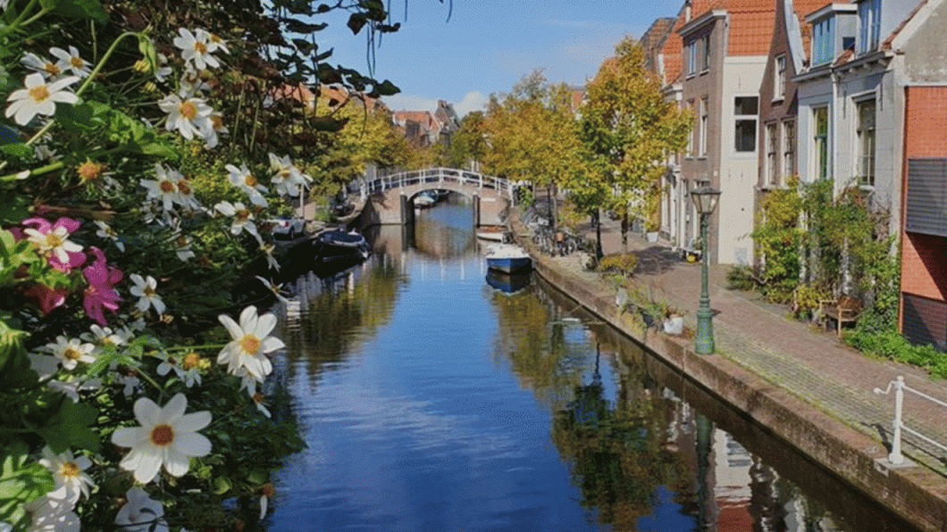 GroenLinks Leiden heeft Lef.gif