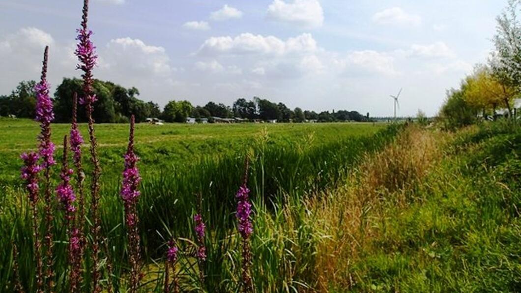 Oostvlietpolder_640px_2_01_8a20e2f37e.jpg
