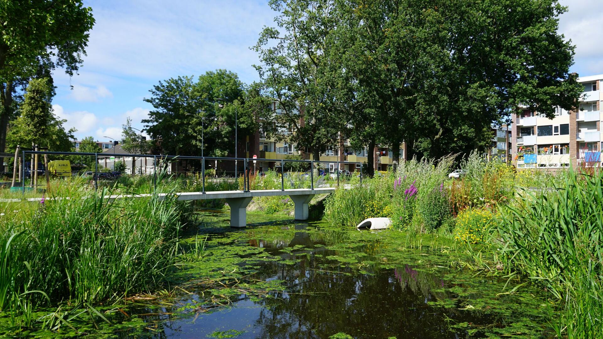 Een foto van een groen Leiden Zuidwest