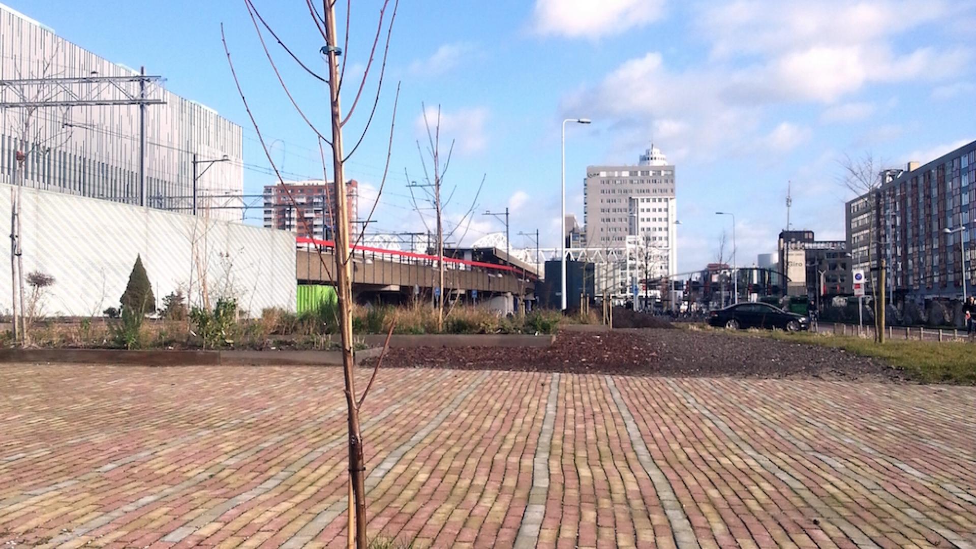 Bord GroenLinks bij kweektuin