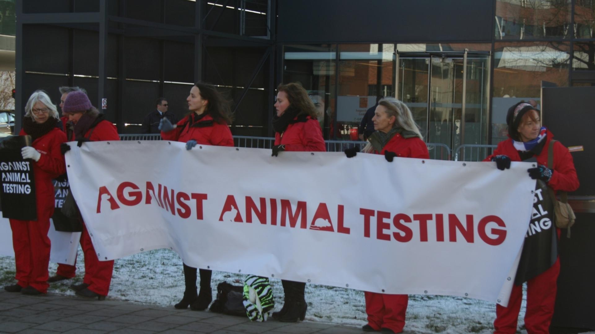 Protest tegen InnoSer